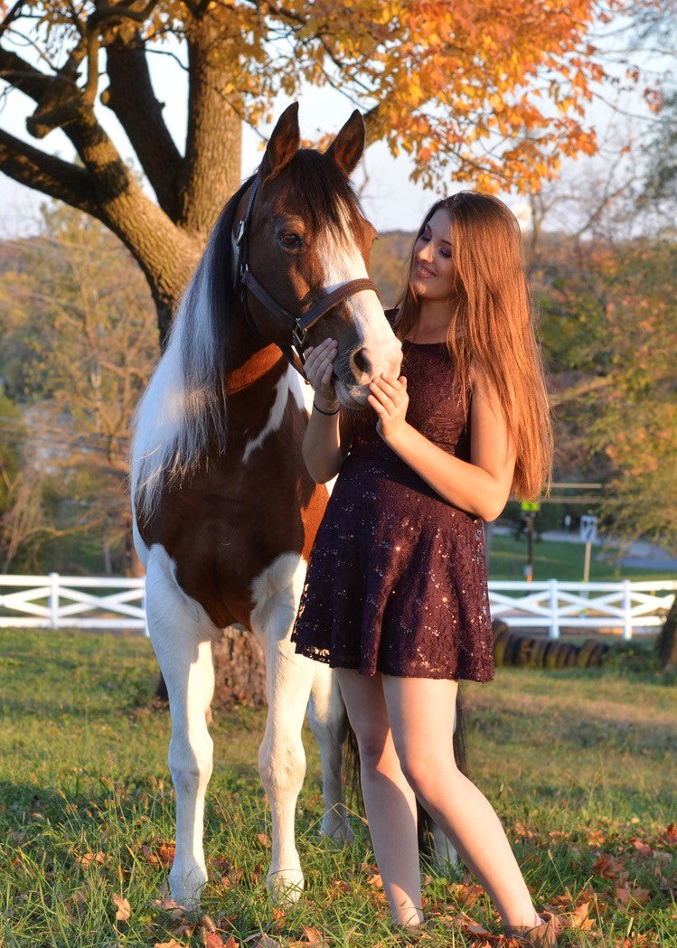 Heart Horse Maggie and Chaco HERD OF ZEBRAS